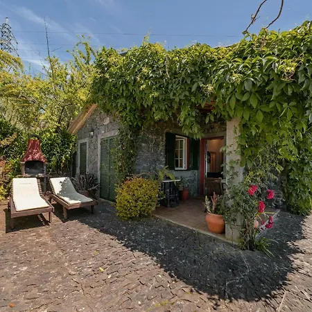 Quinta Devónia By An Island Funchal (Madeira)