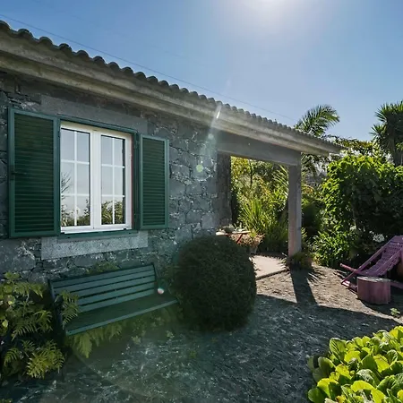 Quinta Devónia By An Island